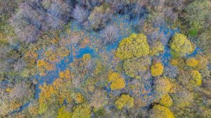 В Дании планируют разместить противокорабельные ракеты на острове Борнхольм