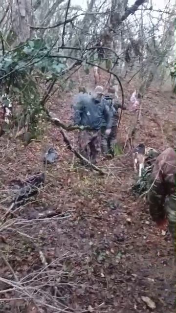 Благодарность пользователей - хороший стимул для творчества смотреть онлайн