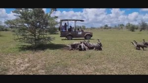 ОТДЫХ на  Занзибаре!САФАРИ  по АФРИКЕ на ДЖИПЕ!