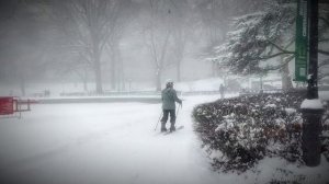 🇺🇸 Сильная метель в Центральном парке, Нью-Йорк ❄️⛄