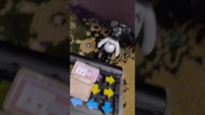 др венди часть 1