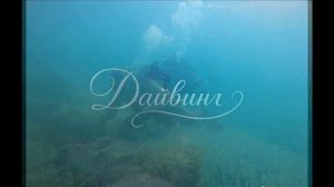 Дом Это МоЙ