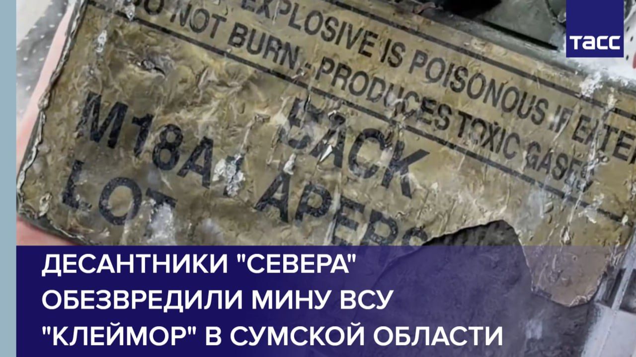 Десантники "Севера" обезвредили мину ВСУ "Клеймор" в Сумской области смотреть онлайн