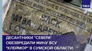 Десантники "Севера" обезвредили мину ВСУ "Клеймор" в Сумской области