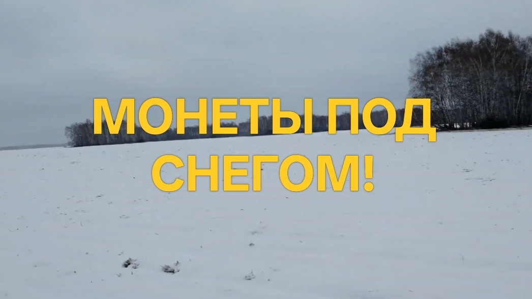 МОНЕТЫ ПОД СНЕГОМ! КОП 2021 #поискмонет #монеты #equinox900 #equinox #minelab #металлоискатель #53 смотреть онлайн