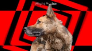 Вернём тренд?