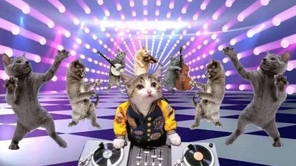 КОШАЧЬЯ ДИСКОТЕКА смотреть онлайн