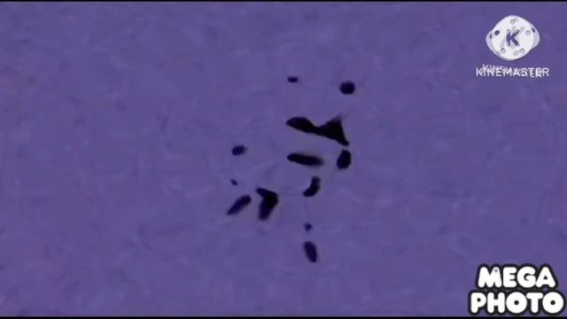 Preview 2 BFDI 2763 V65 смотреть онлайн