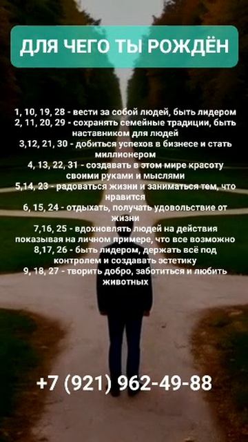 ТЫ ДЛЯ ЭТОГО РОЖДЁН #онлайн #нумерология #shorts #светланаведа смотреть онлайн