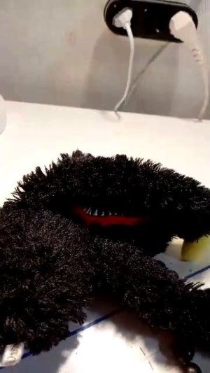 трансляция 1