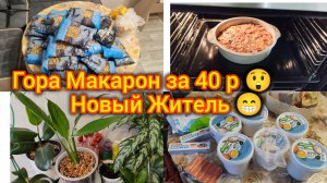 Гора макарон за 40 р 😨 Новый житель. Распаковка Чижик. Обновки для Дома