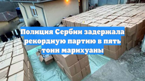 Полиция Сербии задержала рекордную партию в пять тонн марихуаны