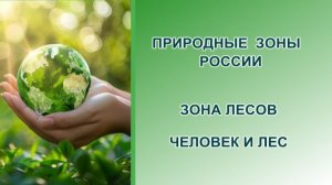 Природные зоны: зона лесов. Лес и человек