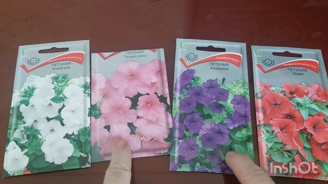 Петуния, посев на рассаду. смотреть онлайн