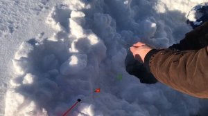 ещё одна форель на льду