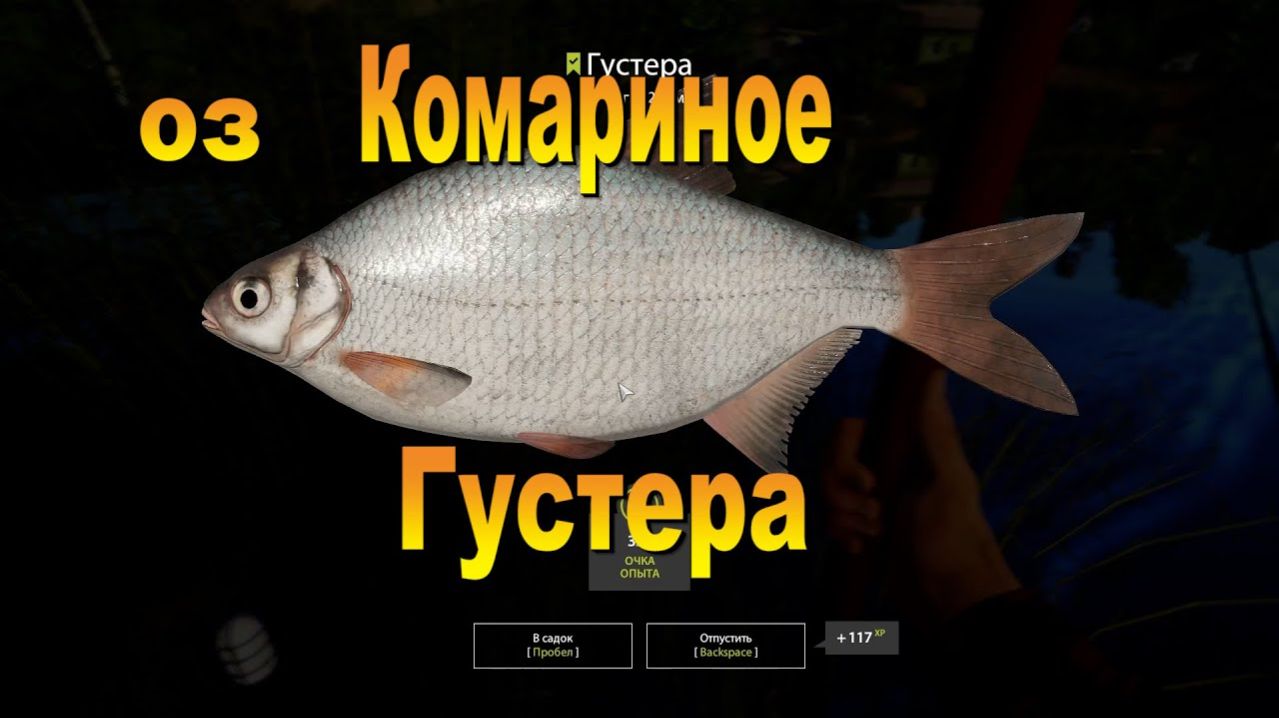Играем в Russian Fishing 4 ловим густеру и другую рыбку на оз.Комариное. смотреть онлайн
