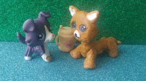 LPS Сериал: Ты Подобен Солнцу 1 серия 1 сезон