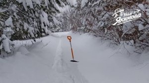 Зимнее приключение пчеловода Якимова