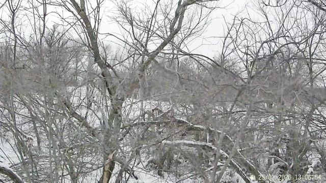 Очередной выезд за зайцем в завершении сезона. смотреть онлайн