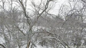 Очередной выезд за зайцем в завершении сезона.