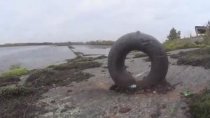 Наснимал рыбы за десять минут! Рыбалка в северной Карелии!Тут без лодки полно рыбы!