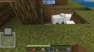 дима маинкравт