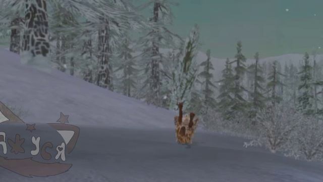 つつВилд крафт эдит 