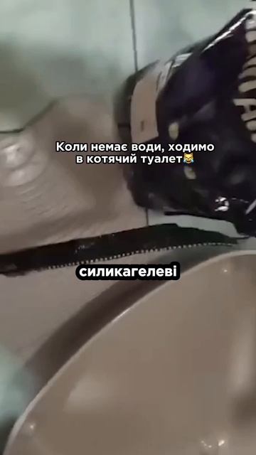 🚽Киевляне начали использовать наполнители для кошачьих туалетов из-за с замерзшей канализации 😹 смотреть онлайн