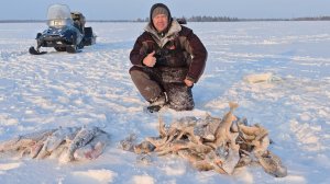 Сногсшибательный клёв щуки с окунем в мой день рождения.