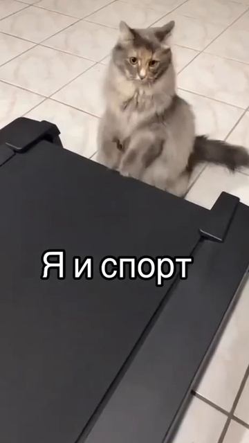 Я и спорт смотреть онлайн