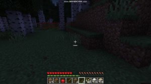 20-й день выживания в майнкрафт