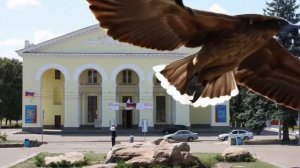 Орёл Полетел 🦅
