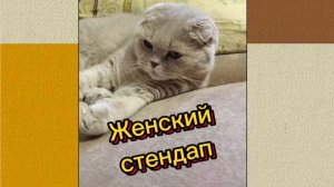 ЖЕНСКИЙ СТЕНДАП.