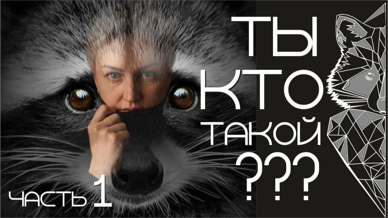 Кто ты такой? Енот полоскун смотреть онлайн