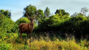 Начало осени. Сентябрь 2025 года.
