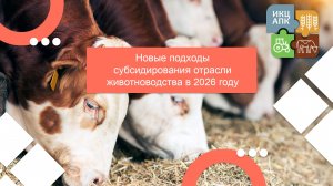 Запись семинара от 28 января 2026 года