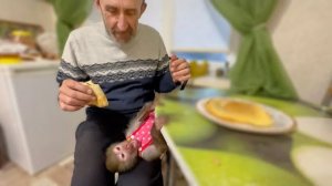 Как Люся на масленицу БЛИНЫ ЕЛА с Владом!