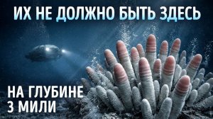 Ученые нашли что-то странное в глубинах моря