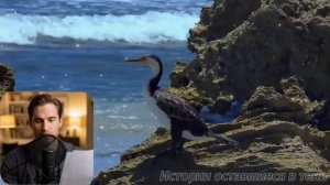 18 лет обмана.