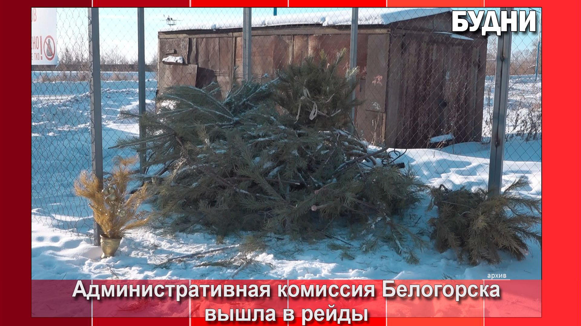 За выброс елки на контейнерную площадку предусмотрен штраф смотреть онлайн