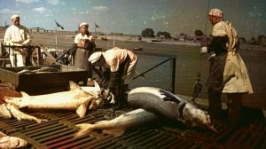 Астрахань 1 001 - по морю уходит рыбацкая байда...!