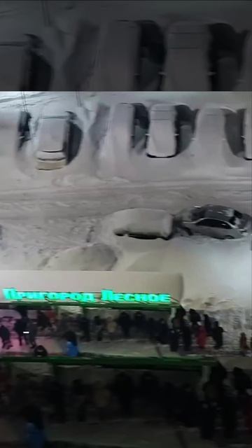 Так началось утро в подмосковном ЖК — люди вынуждены по 40 минут стоять в огромной очереди на морозе смотреть онлайн