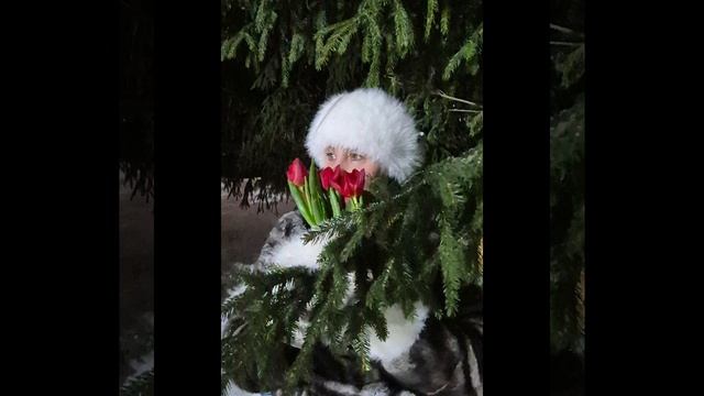 1000130882.mp4 смотреть онлайн