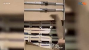 В Смоленской области задержали водителя фуры, который при попытке скрыться сбил сотрудника таможни