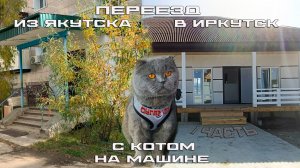 Переезд из Якутска в Иркутск с котом на машине. 1 Часть.