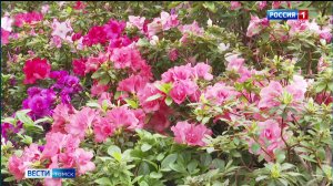 Вести-Томск, выпуск от 30.01.2026 11:30