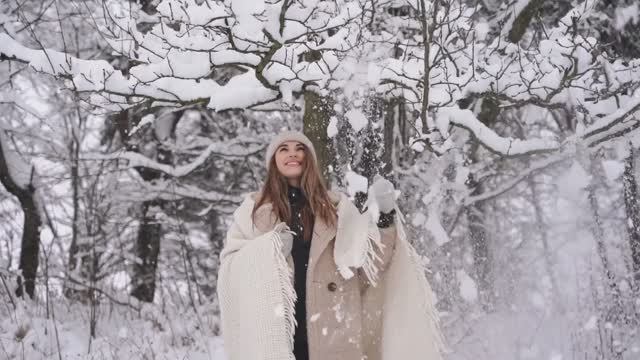 Как в детстве город занесло скрипучим снегом. Версия 1. Музыкальная композиция на стихи А. Субботина смотреть онлайн