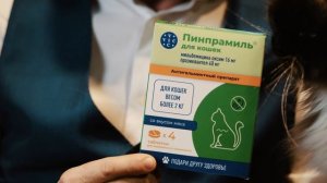 Куклачёв рекомендует: здоровье и энергия кошек с Пинпрамилем