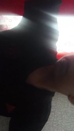 делаю уроки