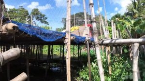 Другой мир/Рыба с Запашком_ Миллионеры без одежды _ Здесь всё Делают НОГАМИ_ Бангладеш.